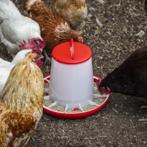 Poultry Feeder 6kg