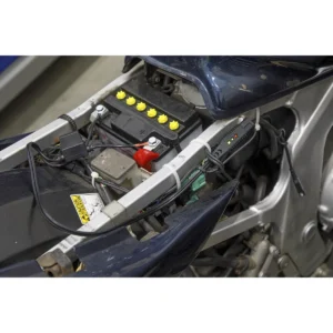 12V Ring Terminal Battery Indicator Cable