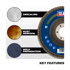 125mm Zirconium Flap Disc 80Grit 22mm Bore