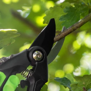 Bypass Secateurs with Soft Grip Handle, Safety Lock & Carbon Steel Blade, 208mm