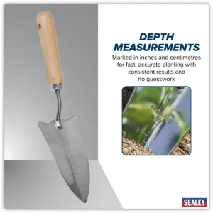 Premier Slim Head Trowel with Ash Handle & Stainless Steel Blade