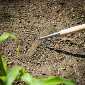 Premier Garden Rake with Long Ash Handle & Stainless Steel Tines