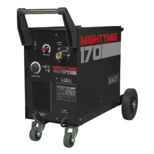 Professional Gas/Gasless MIG Welder with Euro Torch 170A