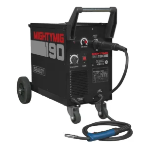 Professional Gas/Gasless MIG Welder with Euro Torch 190A
