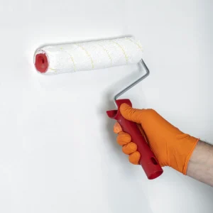 9″ Paint Roller with Tray