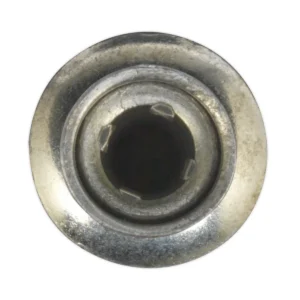 Zinc Plated Steel Structural Rivet 6.3 x 32mm – Pack of 100