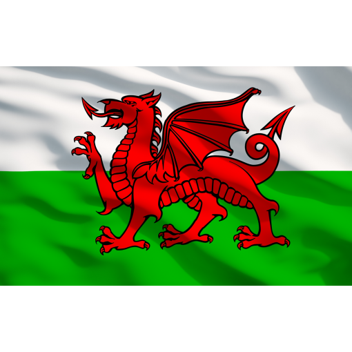 AP26479TBWALES_ACT_FLAG_DFC0848181-1.png