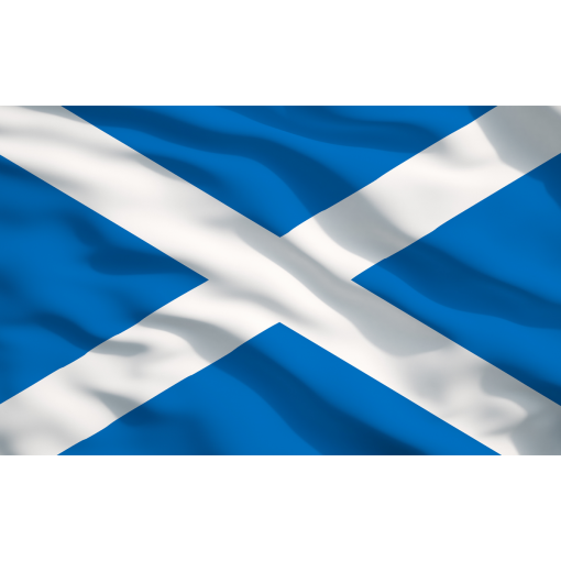 AP26479TCSCOT_ACT_FLAG_DFC0848195-1.png