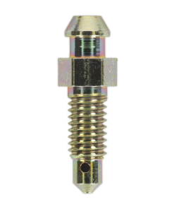 Brake Bleed Screw M6 x 29mm 1mm Pitch Pack of 10