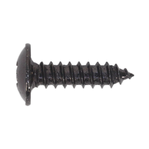 Self Tapping Screw 4.2 x 16mm Flanged Head Black Pozi Pack of 100