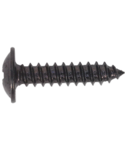 Self Tapping Screw 4.2 x 19mm Flanged Head Black Pozi Pack of 100