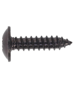 Self Tapping Screw 4.8 x 19mm Flanged Head Black Pozi Pack of 100