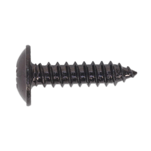 Self Tapping Screw 4.8 x 19mm Flanged Head Black Pozi Pack of 100