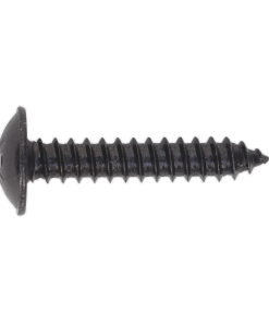 Self Tapping Screw 4.8 x 25mm Flanged Head Black Pozi Pack of 100