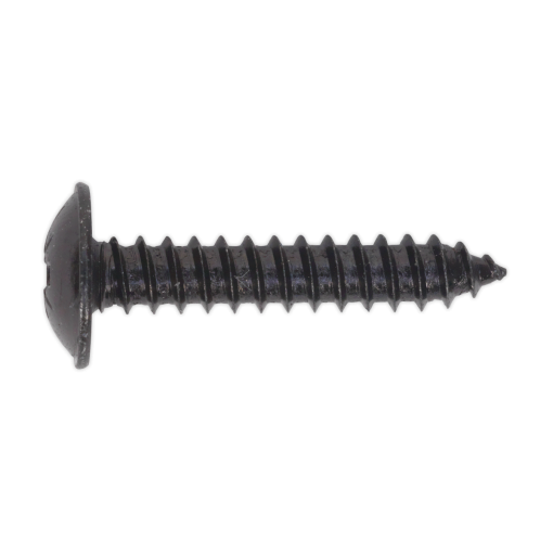 Self Tapping Screw 4.8 x 25mm Flanged Head Black Pozi Pack of 100