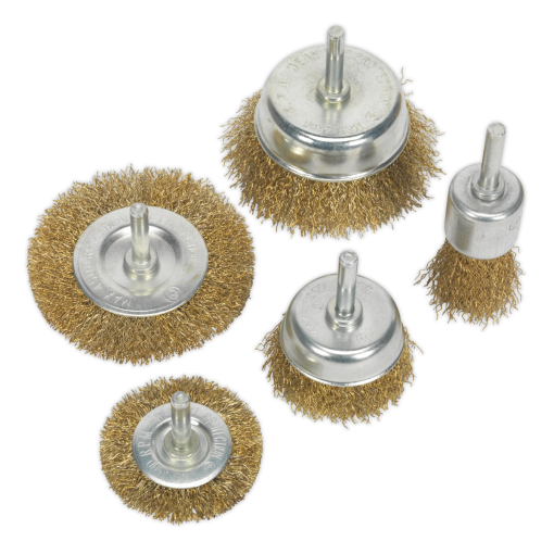 Wire Brush Set 5pc Brassed